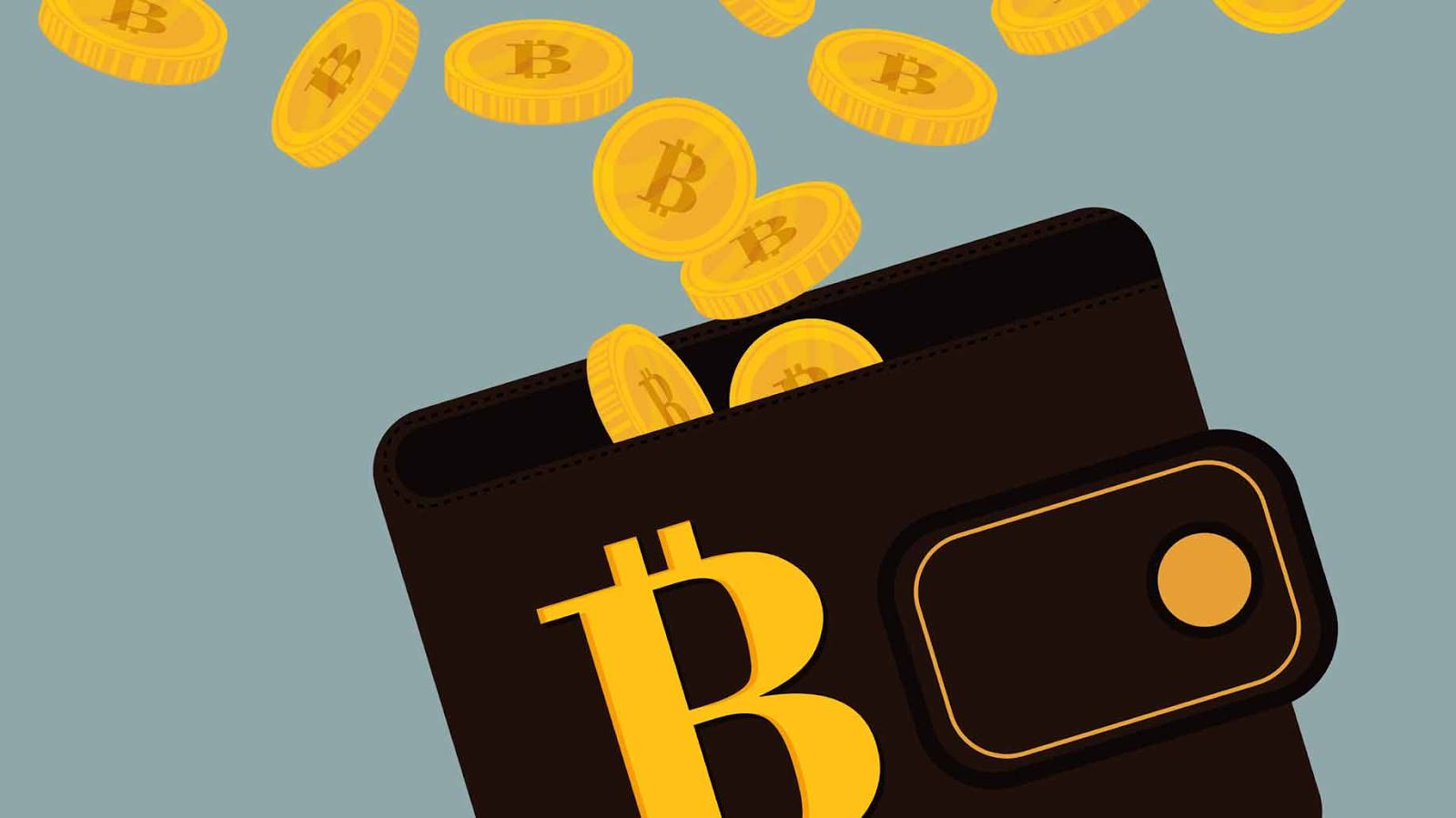 bitcoin wallet, portafoglio per criptomonete e criptovalute